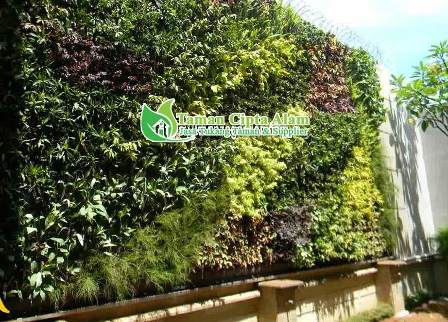 Jasa Pembuatan Vertical Garden | Jasa Taman Vertikal Murah ...