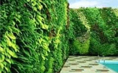 vertikal garden surabaya jasa taman cipta alam